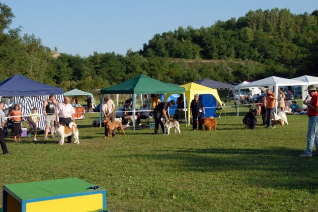 CAC Trbovlje 2007 - foto