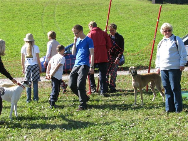 1. LETNO SREČANJE POSVOJENIH HRTOV SLOVENSKEG - foto povečava