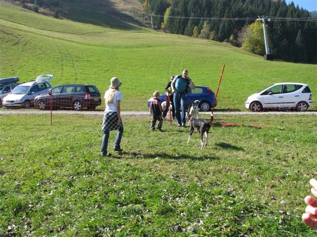 1. LETNO SREČANJE POSVOJENIH HRTOV SLOVENSKEG - foto povečava