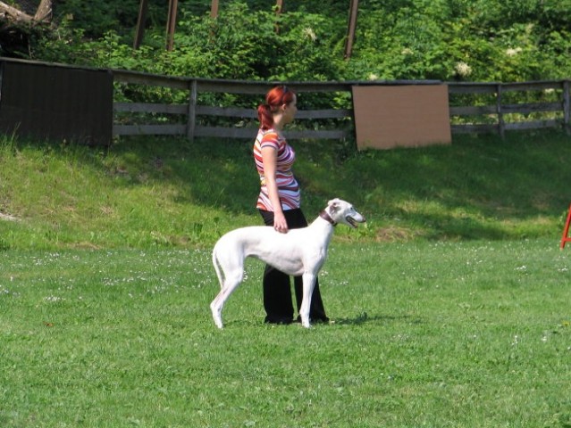 POSVOJITEV-POLLY - foto