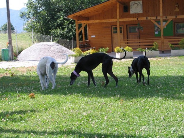 Ložnica 2 - foto