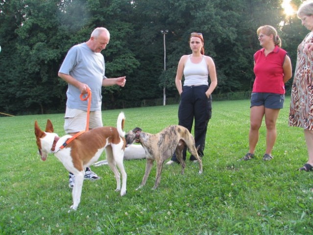 Ložnica 4 - Z Malu... - foto