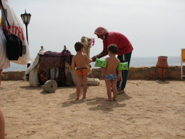 Jan, Nejc in kamela: 