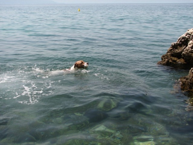 Morje poletje 2006 - foto