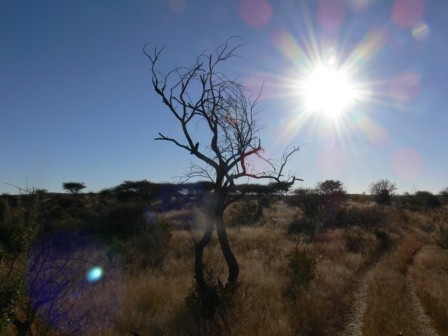 Namibia 2006 - foto povečava