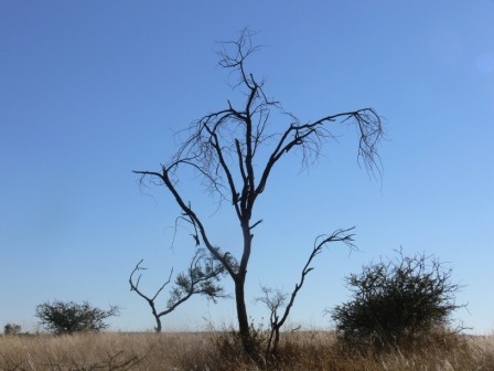 Namibia 2006 - foto