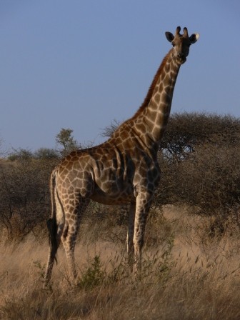 Namibia 2006 - foto