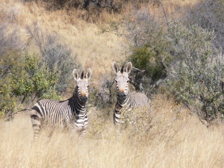 Namibia 2006 - foto