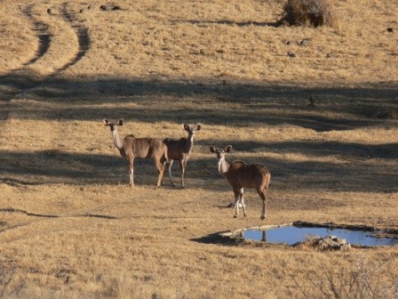 Namibia 2006 - foto