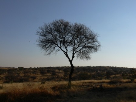 Namibia 2006 - foto