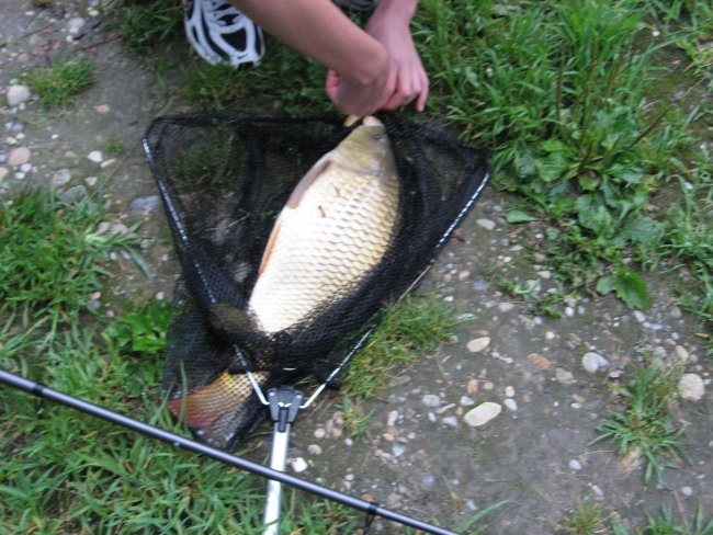 Lisjakova struga - 13. 7. 2007 - foto povečava