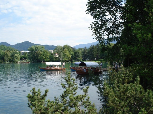 Slike od Damjana - foto povečava