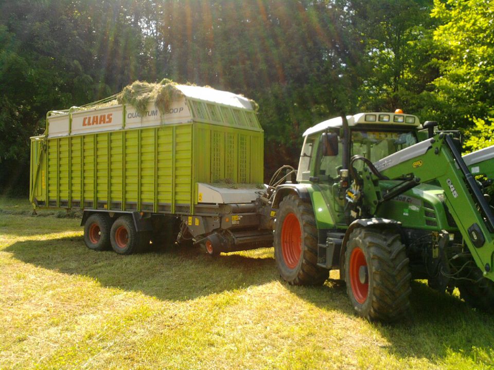 Siliranje 2010 - foto povečava