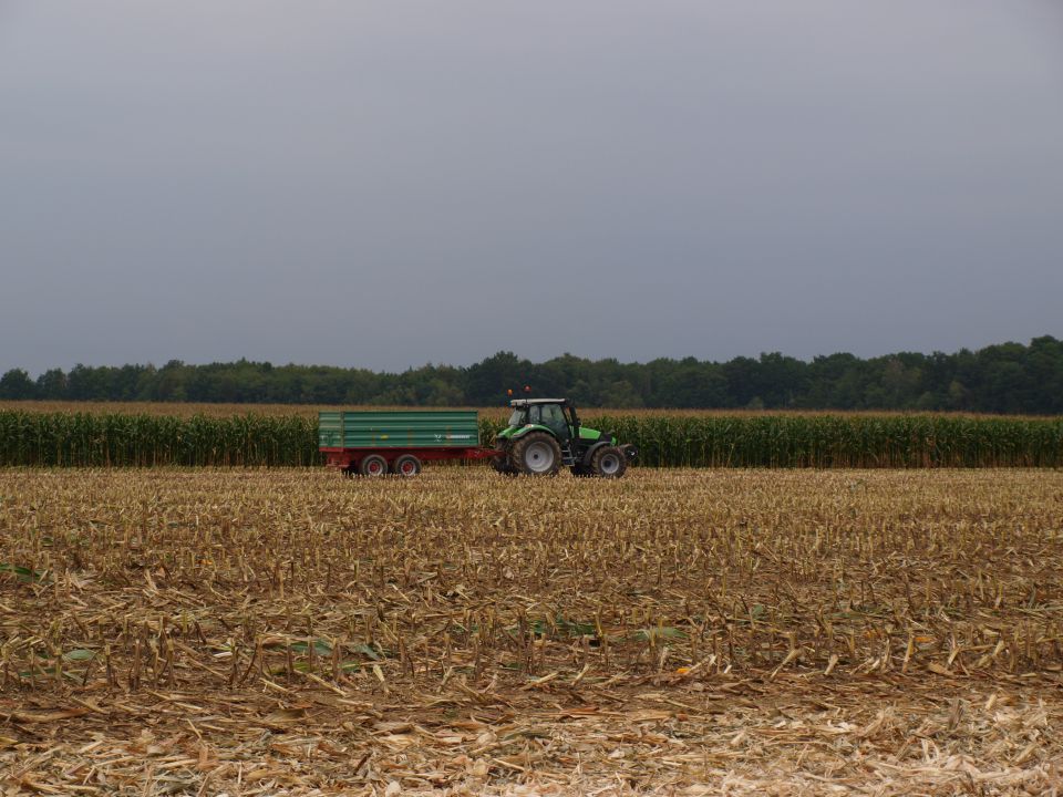 Siliranje 2010 - foto povečava