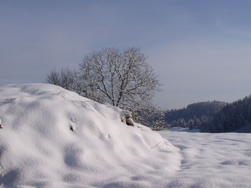 Hiša 2 - foto povečava