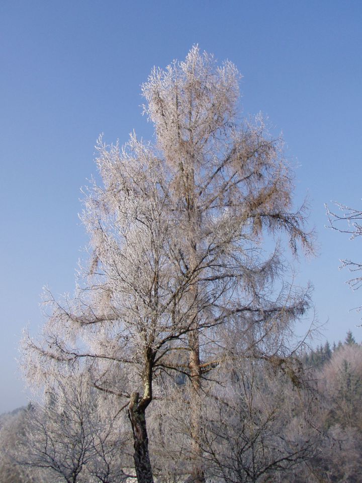 Hiša 2 - foto povečava