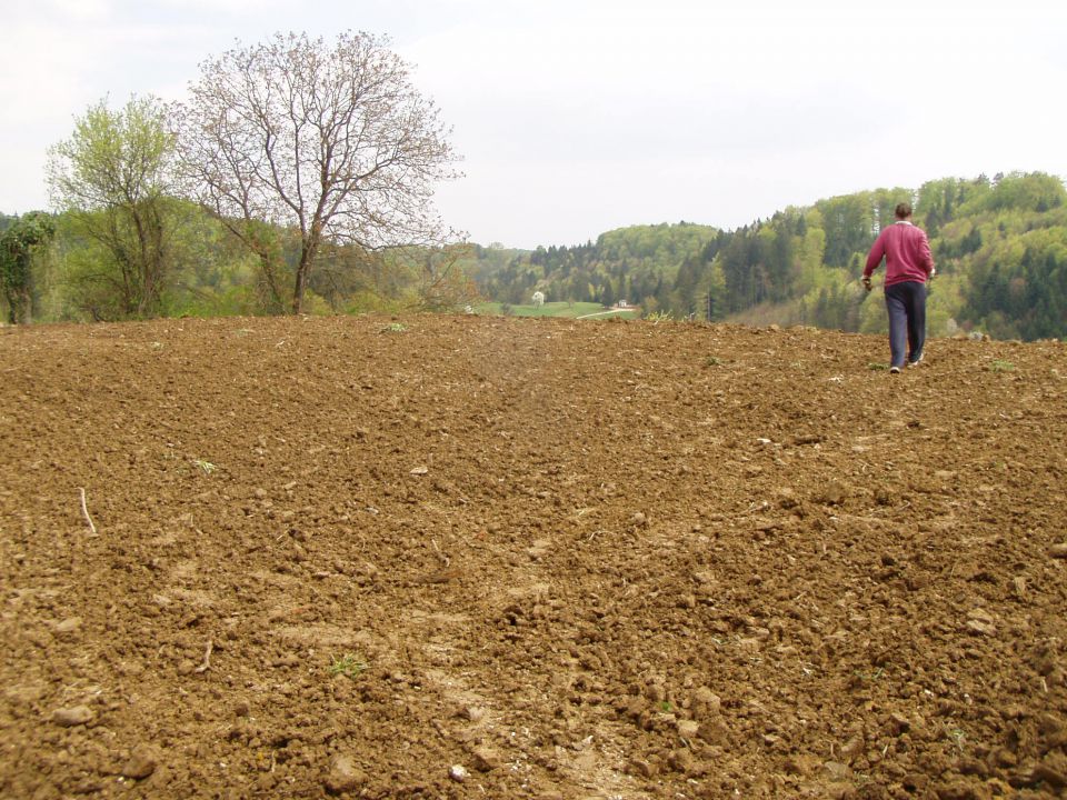 Hiša 2 - foto povečava