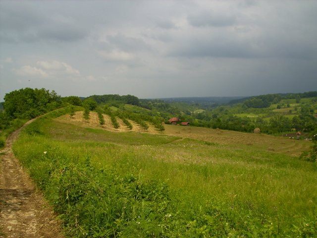 Vrazicani - foto povečava