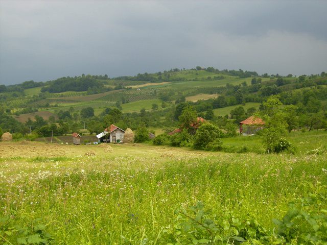 Vrazicani - foto povečava