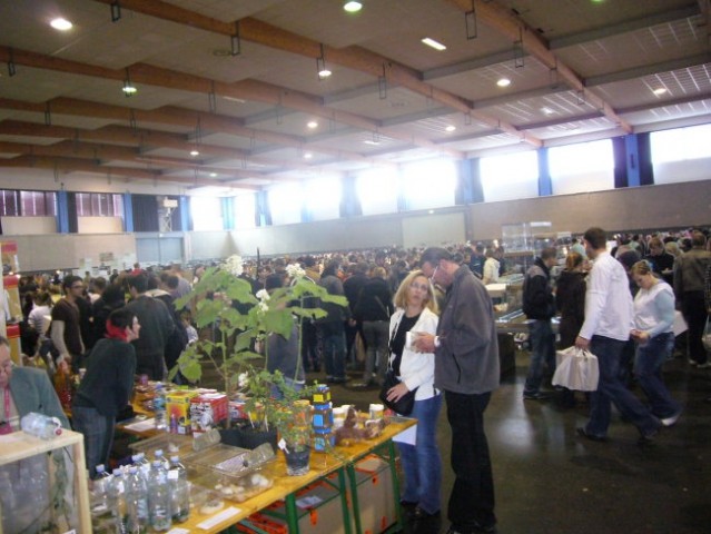 Exotica St. Polten 2007 - foto