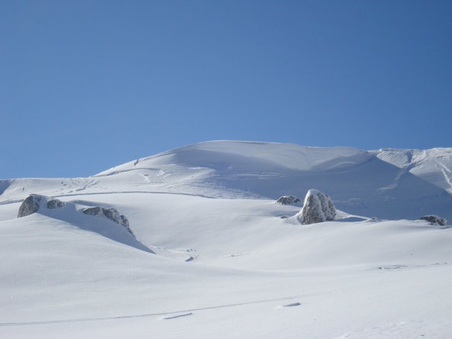 Ratitovec - foto povečava