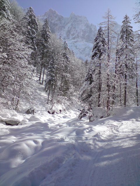 Krnica 8.2.2010 - foto