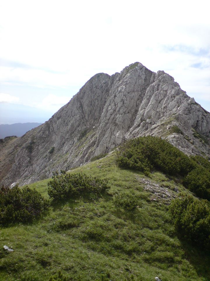 Vrhovi nad Pokljuko julij 2009 - foto povečava