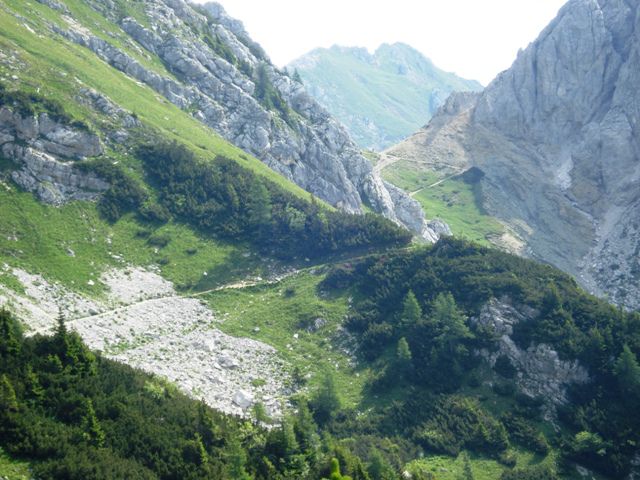 Tošc junij 2008 - foto povečava