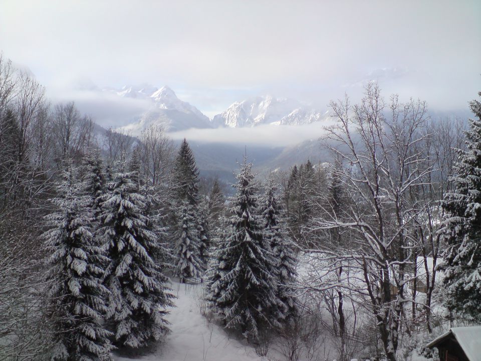 Dovška Baba 17.1.2009 - foto povečava