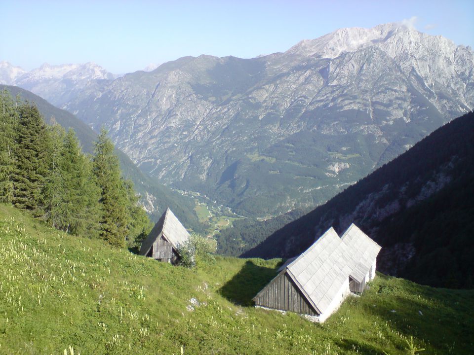 Travnikova dolina, Plaski Vogel, 12.7.2011 - foto povečava