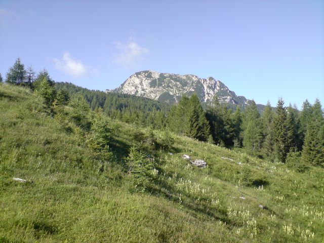 Travnikova dolina, Plaski Vogel, 12.7.2011 - foto