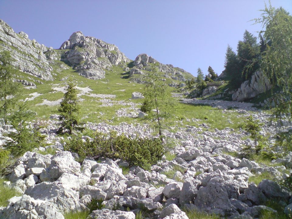 Travnikova dolina, Plaski Vogel, 12.7.2011 - foto povečava