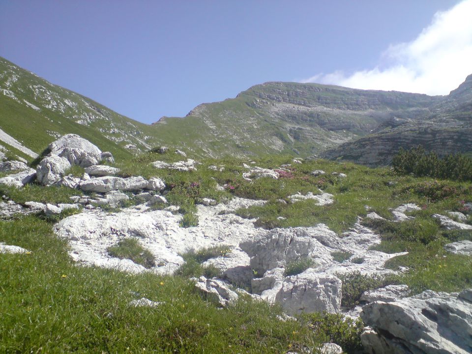 Travnikova dolina, Plaski Vogel, 12.7.2011 - foto povečava