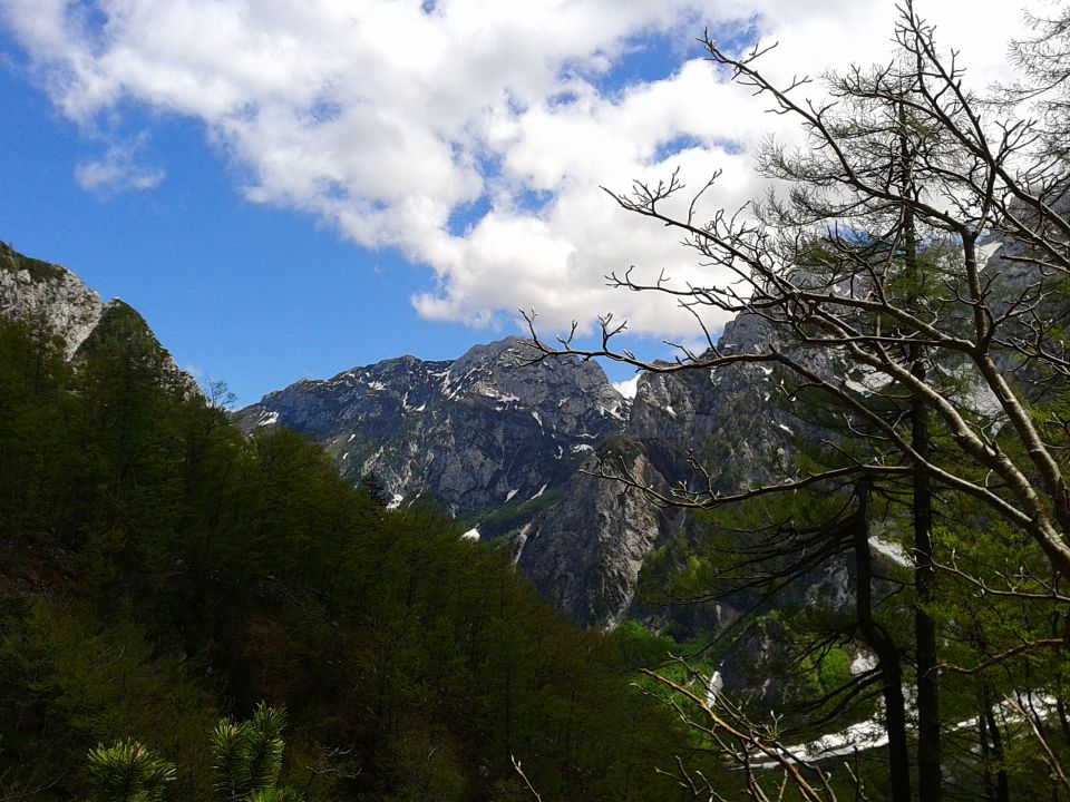 Logarska dolina - Okrešelj 18.5.2013 - foto povečava
