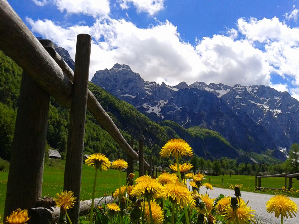 Logarska dolina - Okrešelj 18.5.2013 - foto povečava