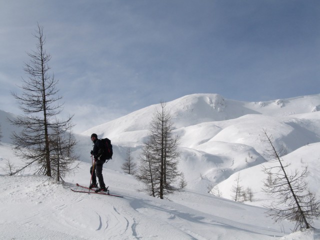 Veliki vrh in Dleskovec (13.2.2009) - foto