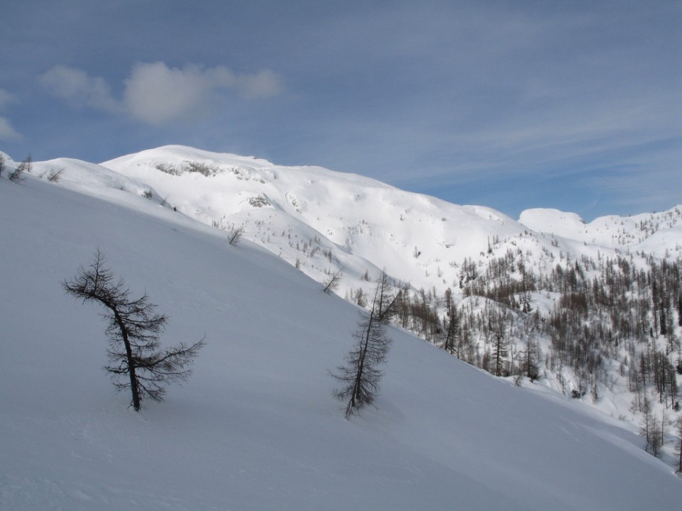 Veliki vrh in Dleskovec (13.2.2009) - foto povečava