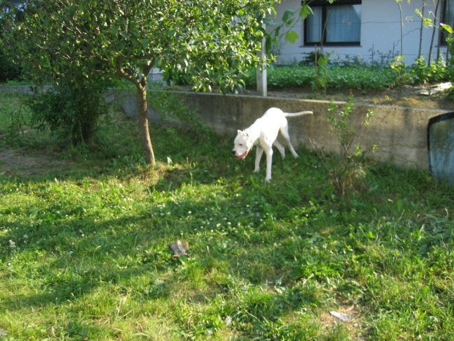 Win&baby 1.roj.dan - foto povečava