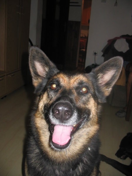 Muri in Ara - foto