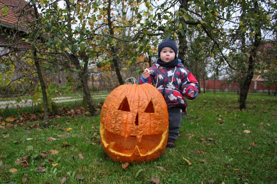 tole bučo sva z mami nardile