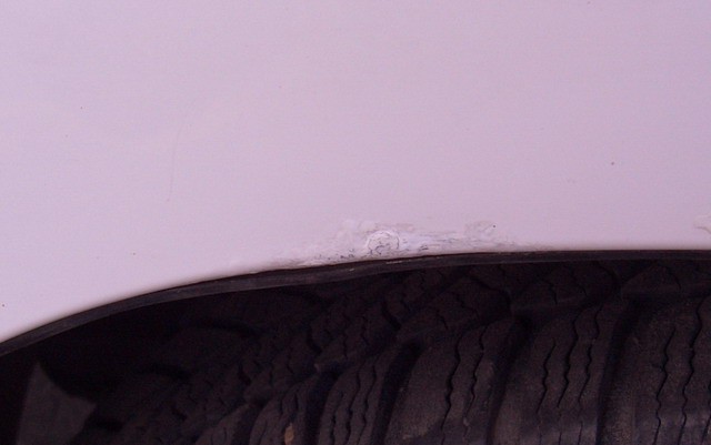 Rja - foto povečava