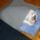Zimaaaa...