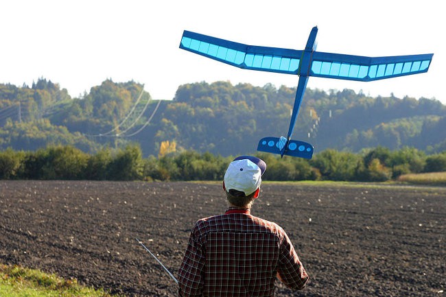 Krtina-30.9.2007 - foto povečava