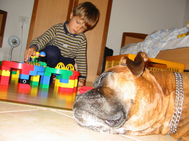 VENTAŽ-NAŠ PRVI BOKSER - foto povečava