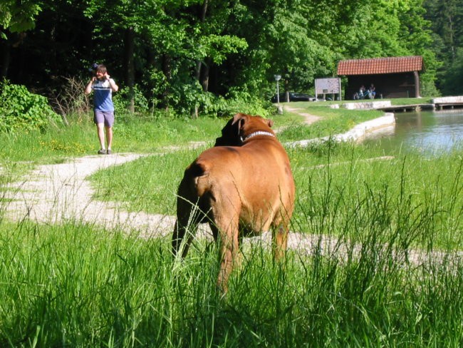 VENTAŽ-NAŠ PRVI BOKSER - foto povečava