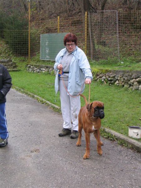 PASJA ŠOLA TRBOVLJE - foto povečava