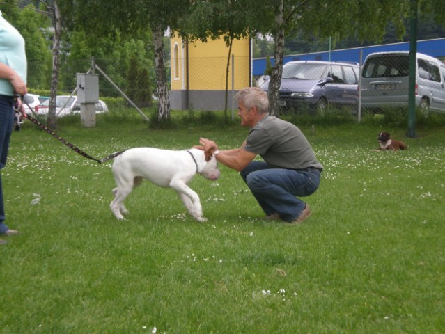 ZOYCIK PIKNIK VELENJE 08-NATE AMOTEAMO - foto