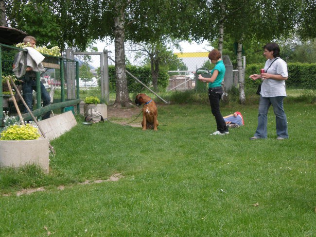 ZOYCIK PIKNIK VELENJE 08-NATE AMOTEAMO - foto povečava