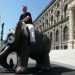Ker je bil muzej zaprt je nastradal  slon.