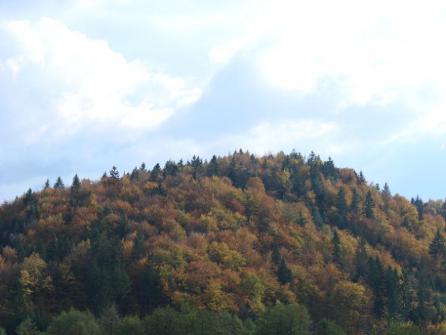Narava-Oktober - foto